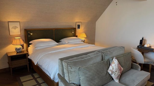 Exploring the Charms of Brunfels Hotel: A Memorable Mainz Experience